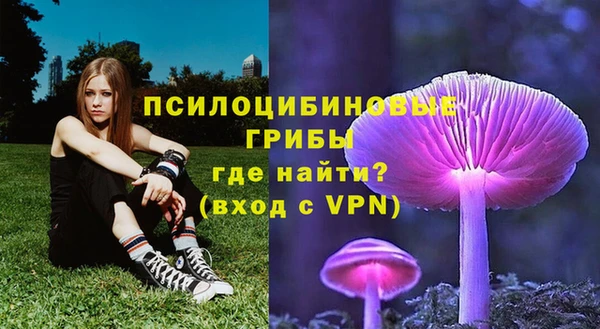 ALPHA PVP Белокуриха