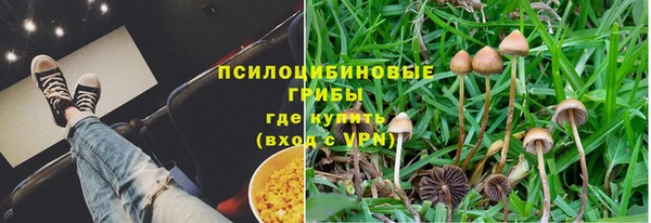 ALPHA PVP Белокуриха