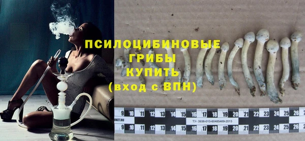 ALPHA PVP Белокуриха