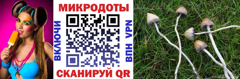 Галлюциногенные грибы мухоморы  это наркотические препараты  Калининец 